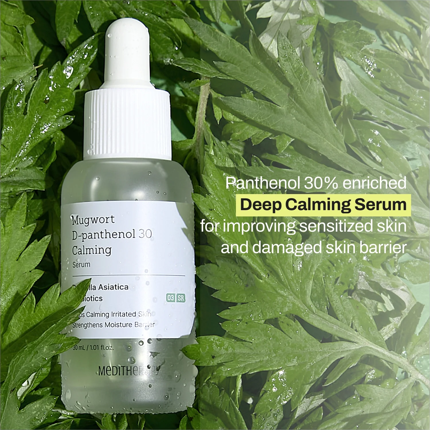 Mugwort Super Calming Toner + Serum + Centella Calming Cream - Image 13
