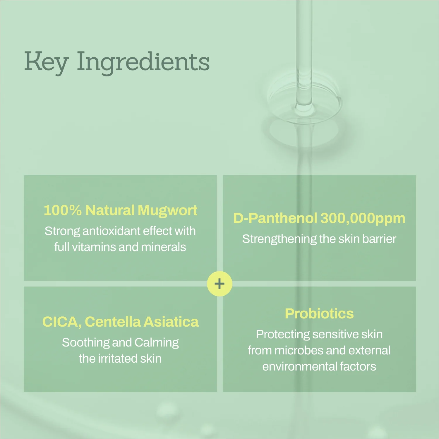 Mugwort Super Calming Toner + Serum + Centella Calming Cream - Image 9